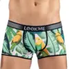 Boxer Homme Lookme Imprimé Oiseau Chanteur Confort Sexy Élastique Polyester Élégant