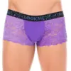 Boxer Homme Violet Dentelle Florale Poche Opaque Ajustée Confort Sexy
