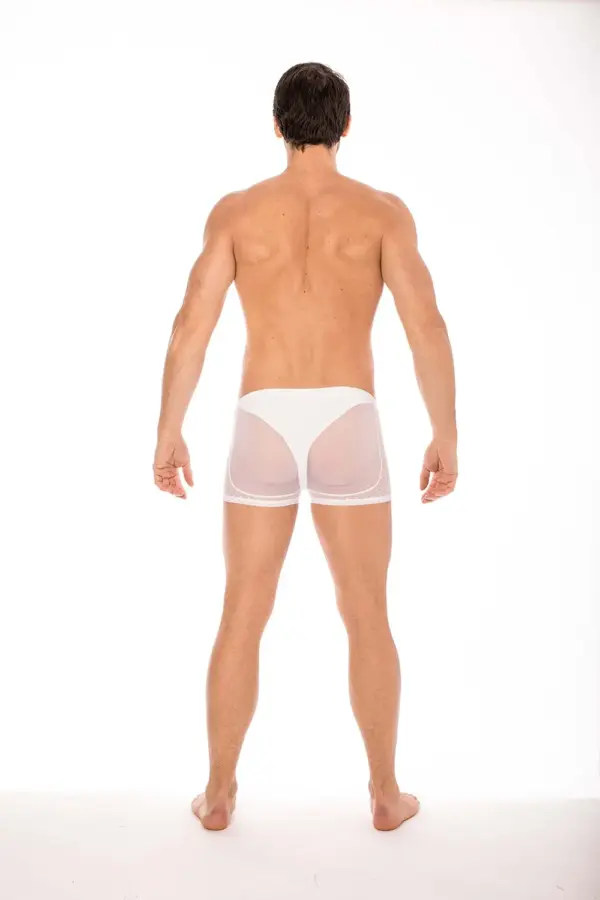 Boxer blanc en résille fine, vue arrière, avec détails en dentelle élégante et élastique confortable.