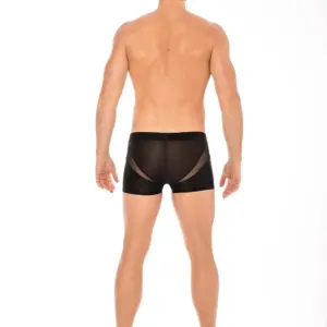 Boxer noir en résille transparente, vue de dos, ceinture élastique, design audacieux et sexy.
